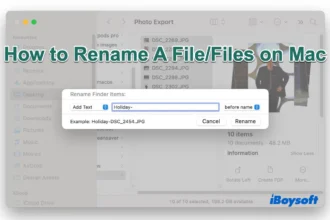 Can rename files in wine mac