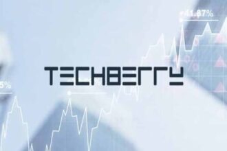 Techberry review