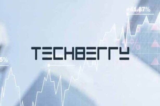 Techberry review