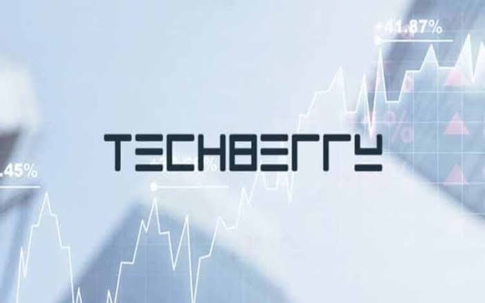 Techberry review