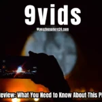 9vids Review: What You Need to Know About This Platform