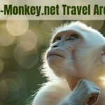 albino-monkey.net Travel Archives: Where Every Destination Tells a Story