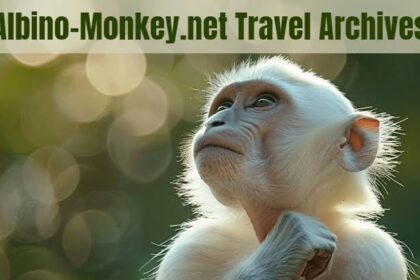 albino-monkey.net Travel Archives: Where Every Destination Tells a Story