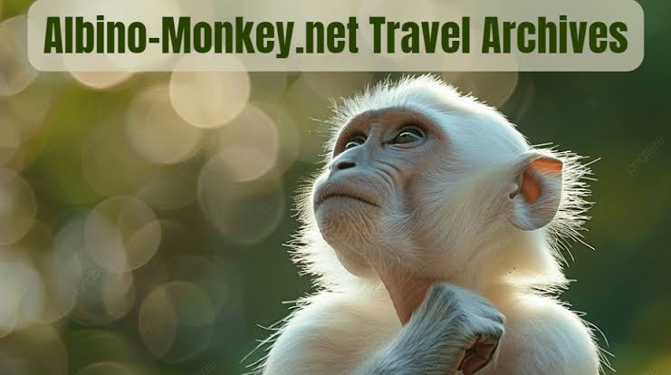 albino-monkey.net Travel Archives: Where Every Destination Tells a Story