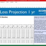 12 month profit and loss projection example pdf