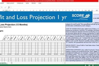 12 month profit and loss projection example pdf