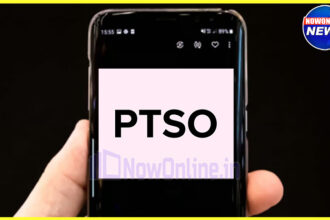 ptso meaning