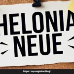 A Guide to Understanding Helonia Neue Features