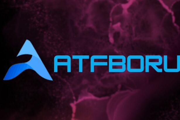 A Guide to Understanding atfboru Features